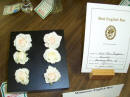 Miniature English Box