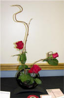 Free Form Arrangement