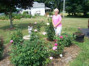 Dodson's Garden
