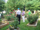 Jacobs' Garden