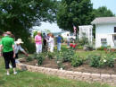 Dodson's Garden