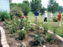 Dodson's Garden