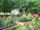 Jacobs' Garden